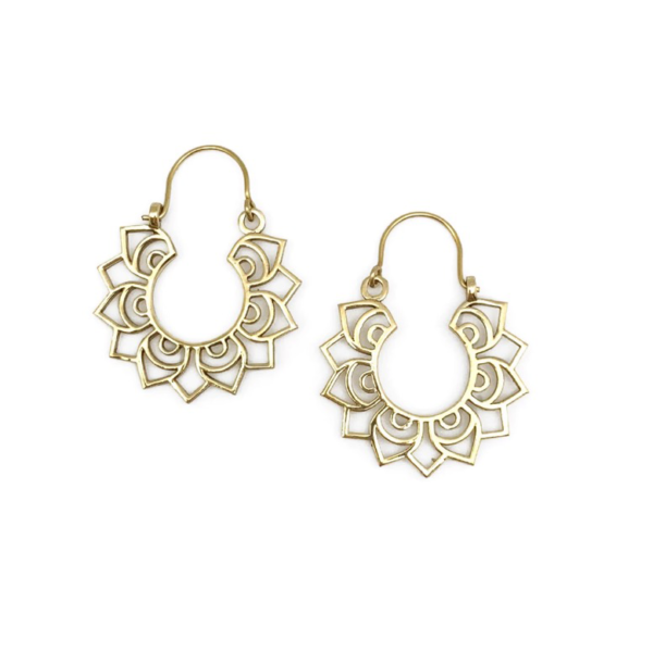 A pair of huge earrings  